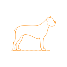 Animals Dogs Cane Corso Sticker Svg Vector, Free Vectors File